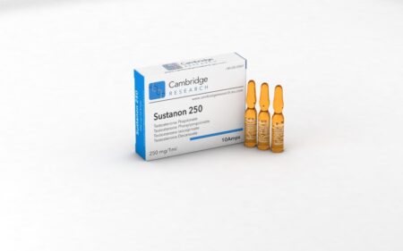 Sustanon - 250 mg/mL | Cambridge Research